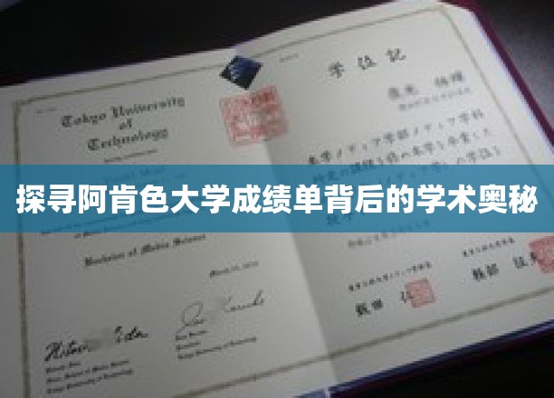 深度解析阿肯色大学成绩单的学术内涵