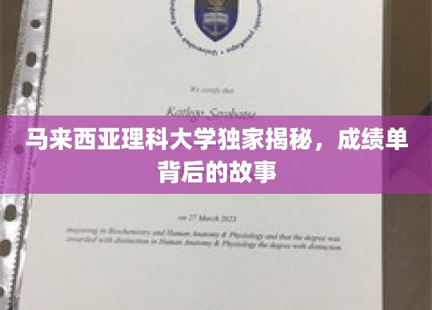马来西亚理科大学揭秘，成绩单背后的真实故事