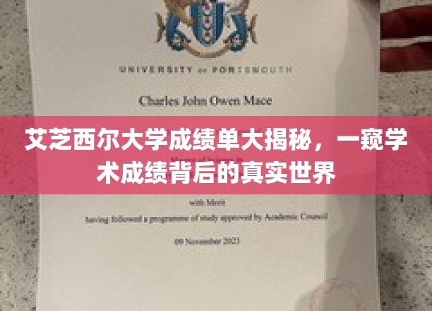 艾芝西尔大学成绩单大揭秘，一窥学术成绩背后的真实世界