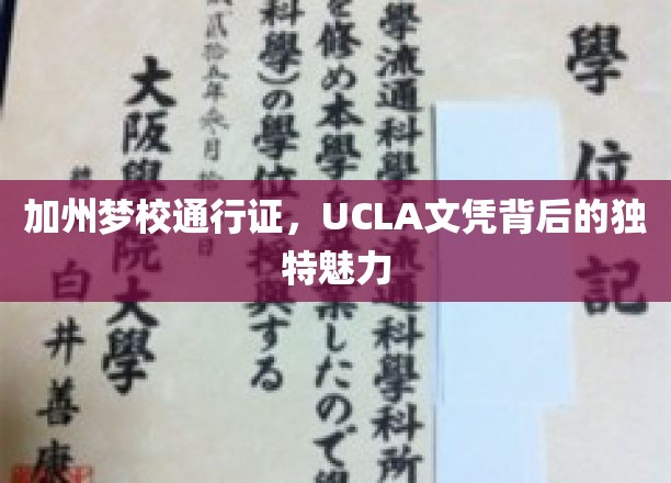 解码UCLA，加州梦校的独到魅力与价值凭证