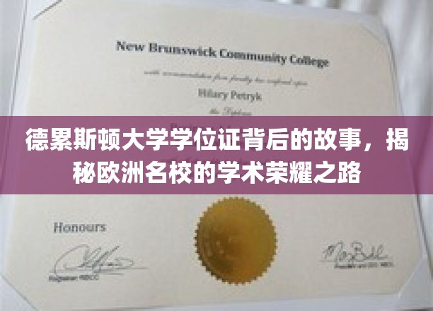 德累斯顿大学学位证背后的传奇，探寻欧洲顶尖学府的学术辉煌之旅