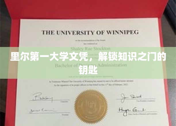 里尔大学文凭，开启智慧宝库的金钥匙