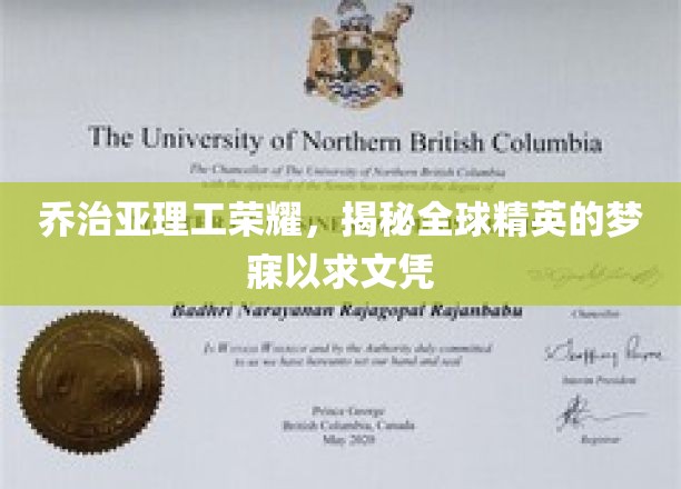 乔治亚理工荣耀，揭开全球精英梦寐以求的文凭面纱