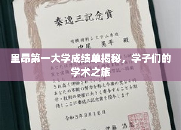 里昂第一大学成绩单背后的学子成长记
