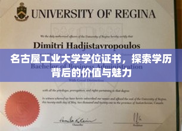 名古屋工业大学学位证书，探索学历背后的价值与魅力