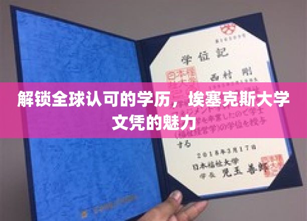 解锁全球认可的学历，埃塞克斯大学文凭的魅力