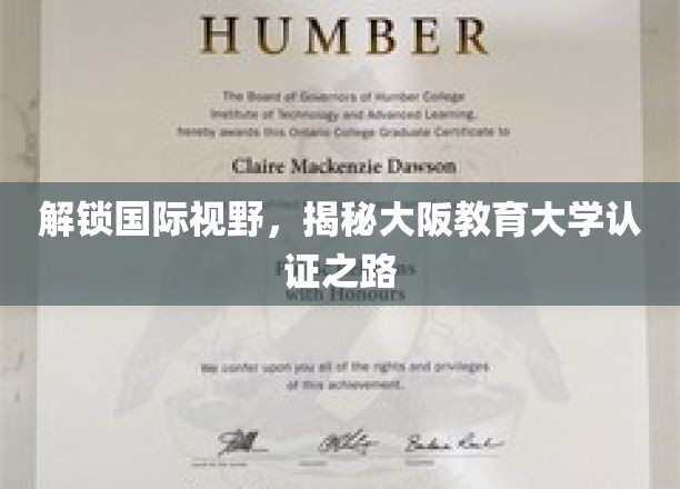 跨越国界，探寻大阪教育大学国际认证的璀璨足迹