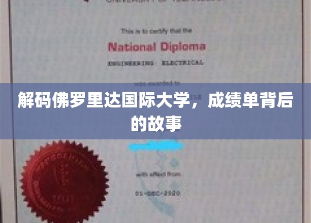 揭秘佛罗里达国际大学，揭秘学子背后的精彩历程