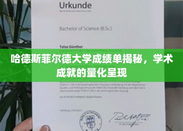哈德斯菲尔德大学成绩单揭秘，学术成就的量化呈现
