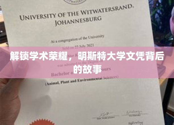解锁学术荣耀，明斯特大学文凭背后的故事