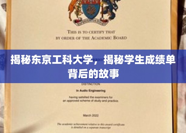 揭秘东京工科大学，探寻学生成绩单背后的故事