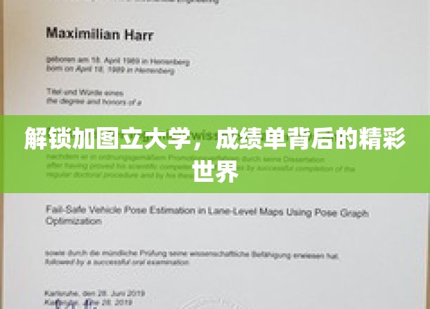 探秘加图立大学，揭秘成绩单背后的非凡人生