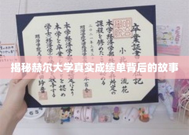 揭开赫尔大学成绩单背后的神秘面纱