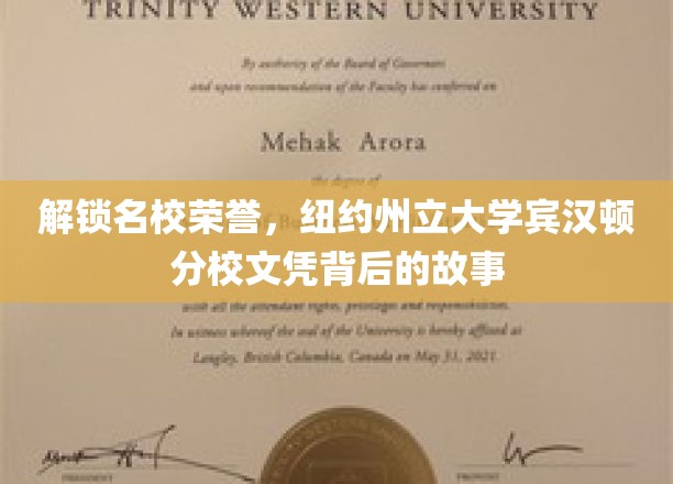 探寻纽约州立大学宾汉顿分校荣耀文凭的神秘面纱