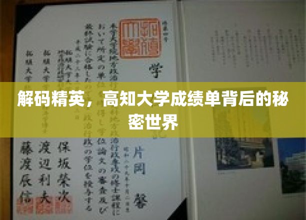 解码学霸圈，揭秘高知大学成绩单背后的非凡人生