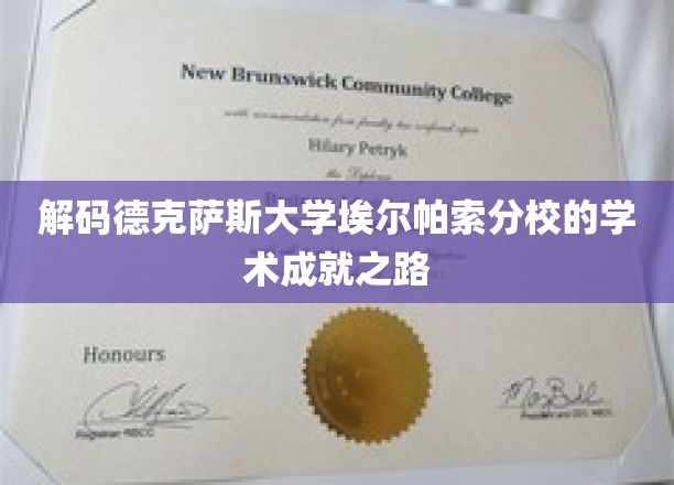 探索德克萨斯大学埃尔帕索分校的学术辉煌轨迹