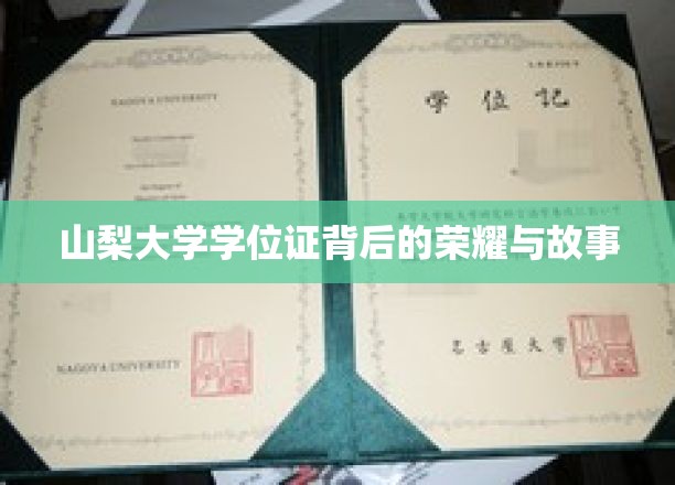 山梨大学学位证，探寻荣耀背后的传奇故事