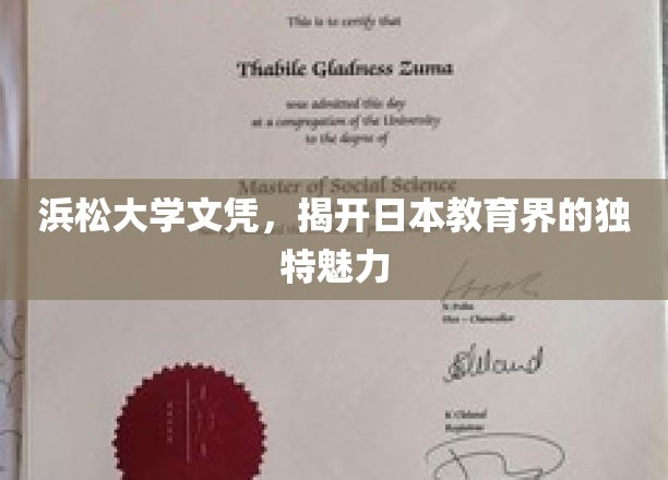 探寻浜松大学文凭背后的日本教育魅力之谜