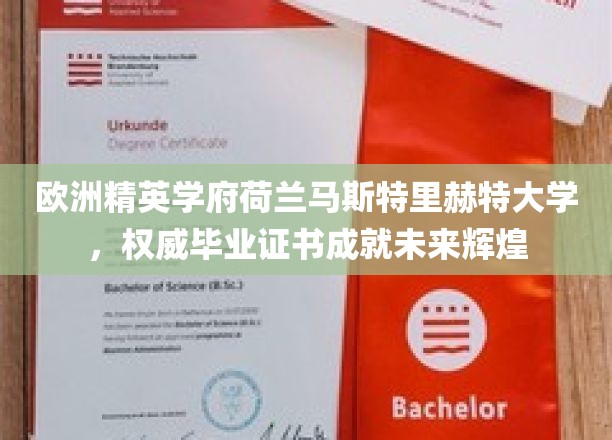 荷兰马斯特里赫特大学，精英摇篮，毕业证书铸就人生巅峰