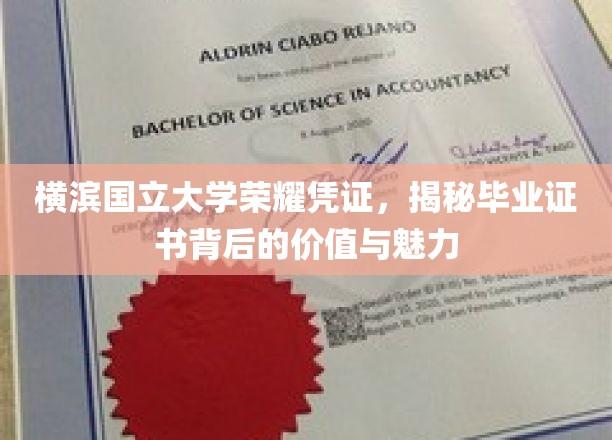 解码横滨国立大学证书，探寻荣耀背后的学术价值与独特魅力