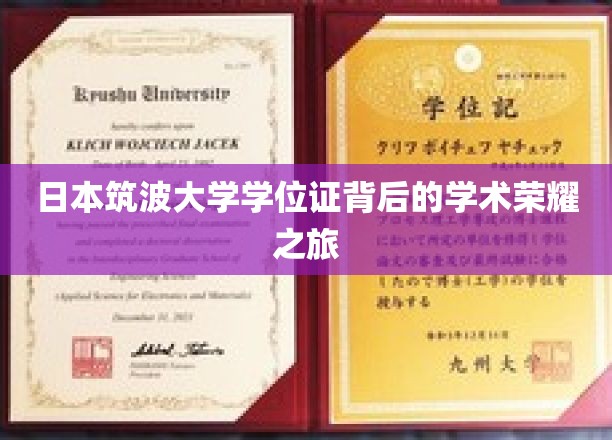 日本筑波大学学位证背后的学术荣耀之旅