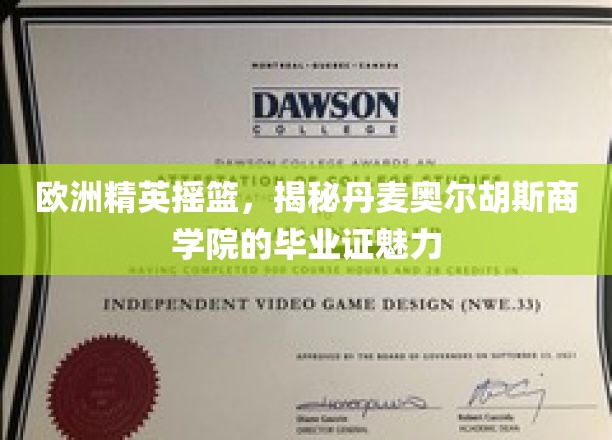 解码北欧教育瑰宝，丹麦奥尔胡斯商学院学位的非凡价值