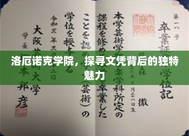 洛厄诺克学院，探寻文凭背后的独特魅力