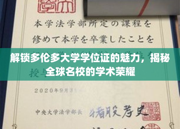解锁多伦多大学学位证的魅力，揭秘全球名校的学术荣耀