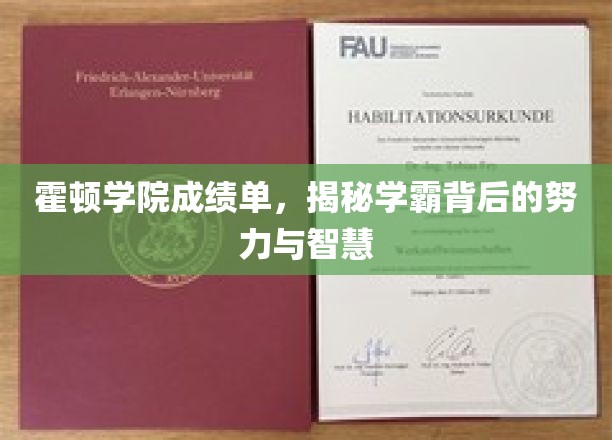 霍顿学霸养成记，揭秘成绩单背后的拼搏与智慧