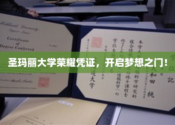 圣玛丽荣耀通行证，解锁未来，梦想启航之旅