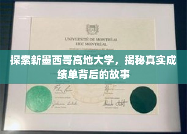 揭秘新墨西哥高地大学，那些隐藏在成绩单背后的秘密旅程