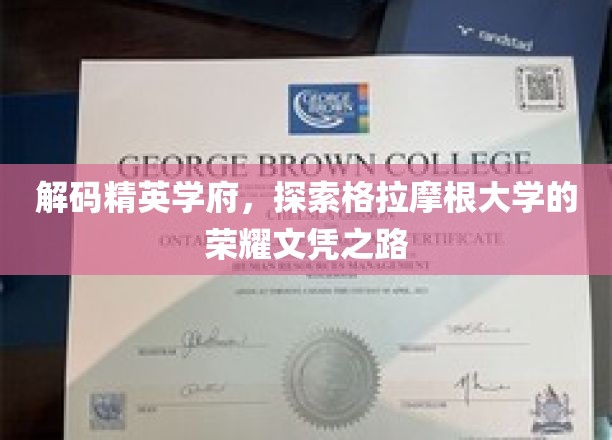 揭开格拉摩根大学精英殿堂的秘密，探寻荣耀文凭的非凡历程
