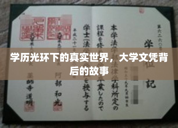 文凭背后，揭开大学时代的真实生活面纱