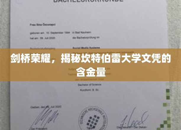 解码精英学府，坎特伯雷大学文凭背后的价值魅力