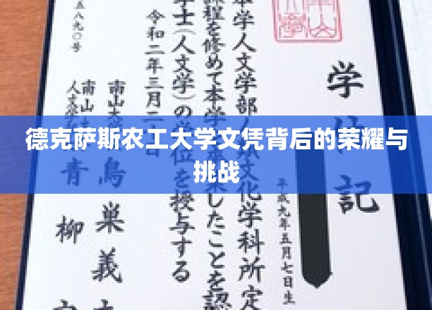 德克萨斯农工大学文凭背后的荣耀与挑战