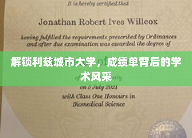 探寻利兹大学学子卓越成就背后的学术魅力