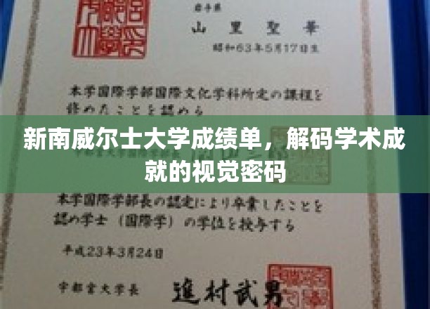 解码新南威尔士大学成绩单，揭开学术成就的视觉秘密