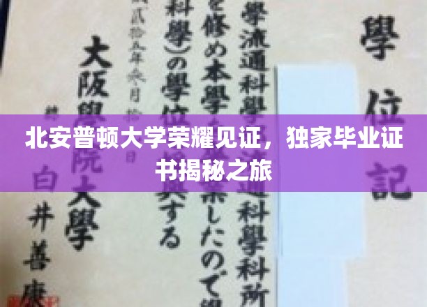 探索北安普顿大学荣耀背后，独家毕业证书之旅大揭秘