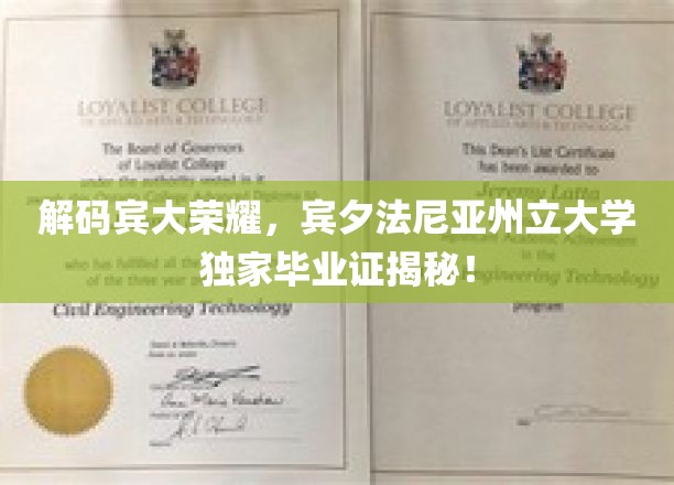 宾大荣耀解码，一探究竟的独家毕业证之谜