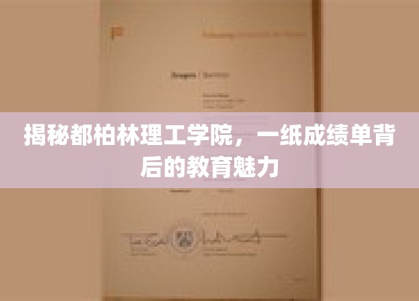 揭示都柏林理工学院，一纸成绩单背后的教育魅力
