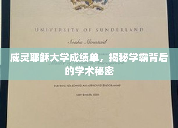 威灵耶稣大学成绩单，揭秘学霸背后的学术秘密