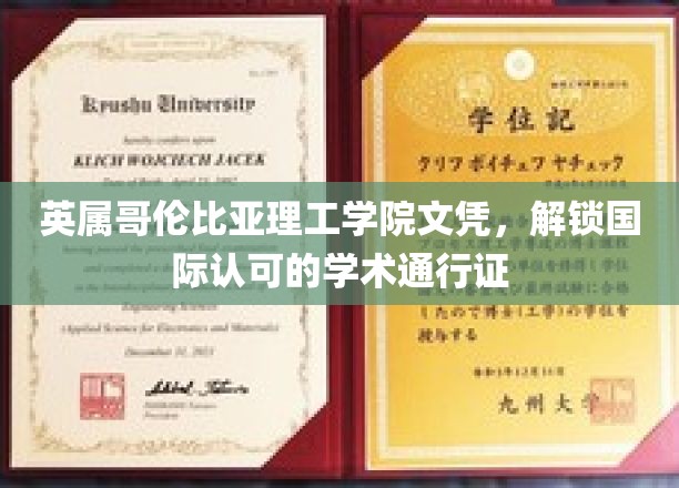 英属哥伦比亚理工学院文凭，解锁国际认可的学术通行证