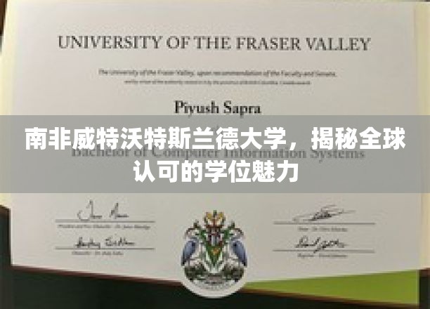 南非威特沃特斯兰德大学，揭秘全球认可的学位魅力