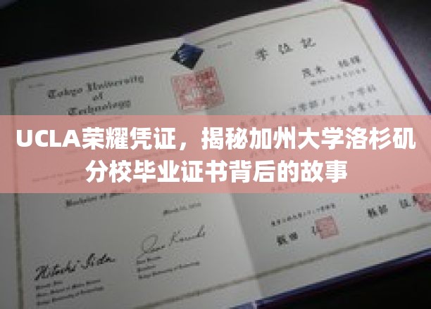 解码UCLA荣耀，揭秘加州大学洛杉矶分校毕业证书的传奇历程