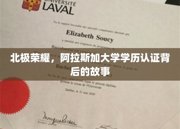 北极之光，阿拉斯加大学学历认证背后的故事