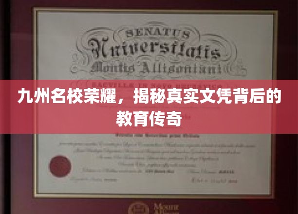 名校风华录，探秘文凭背后的教育传奇之路