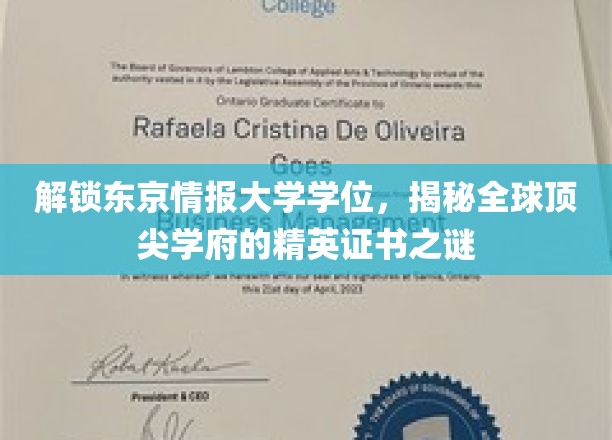 东京情报大学学位揭秘，揭开全球精英证书的神秘面纱