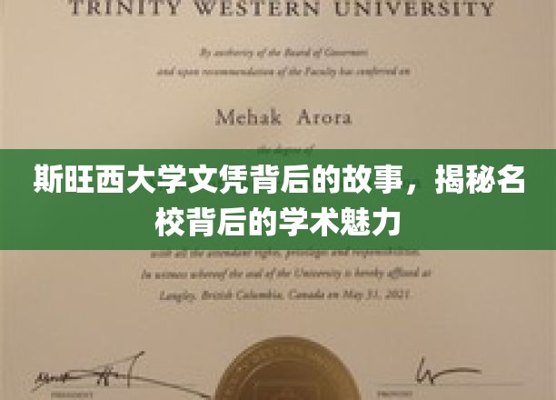 斯旺西大学文凭背后，探寻顶尖学府的学术之光