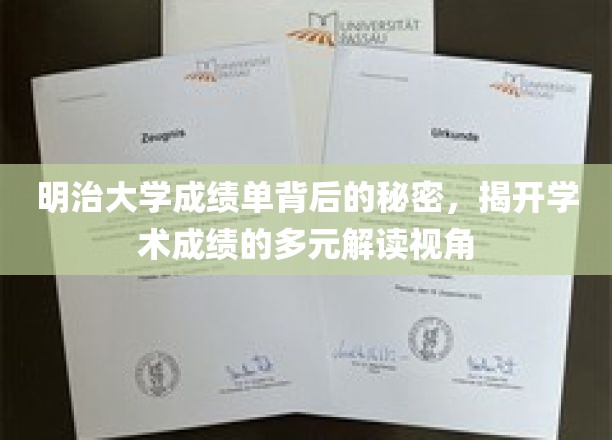 解码明治大学成绩单，探寻学术评价的多维视野