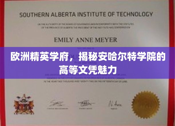 欧洲精英学府，揭秘安哈尔特学院的高等文凭魅力